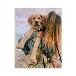 Orseagoo416908's profile picture. 