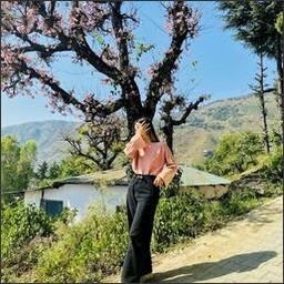 Traujau4464's profile picture. 