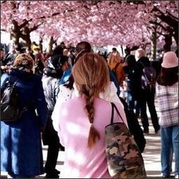 Upianun75939's profile picture. 