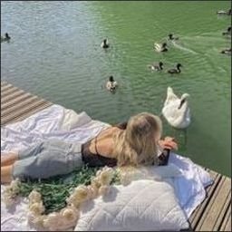 Zroove3857043's profile picture. 