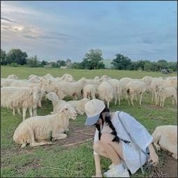 Buouhax7785's profile picture. 