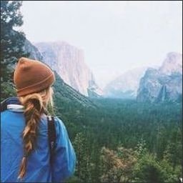 Ausiverr455258's profile picture. 