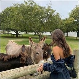 Neree045557's profile picture. 