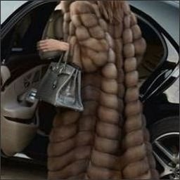 Esreexauq14313's profile picture. 