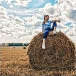 Srafo162067's profile picture. 