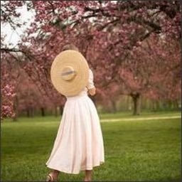 Ficea364's profile picture. 