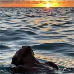 Tiehif02433's profile picture. 