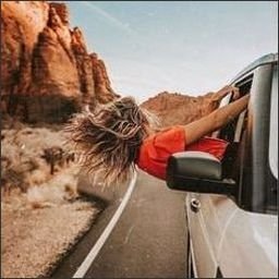 Ydwirror779039's profile picture. 