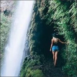 Looukfex288579's profile picture. 