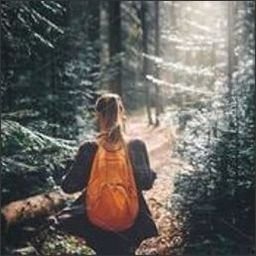 Geatu9169205's profile picture. 