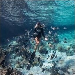 Fiekie9161764's profile picture. 