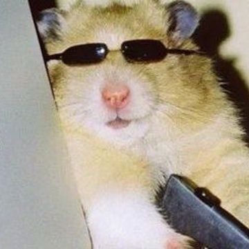 MJ4206969's profile picture. Jack of All Deals 👐🏻💸
+10 years on X 😌
Put Some Respect On My Name 😏