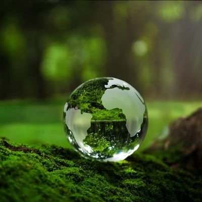 ddffi500's profile picture. 🍀🌿