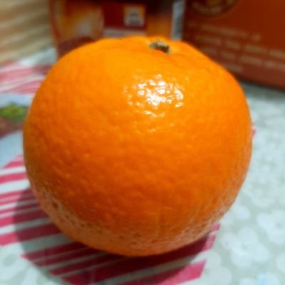 eguu1412's profile picture. 𓃠 be yourself; everyone else is already taken