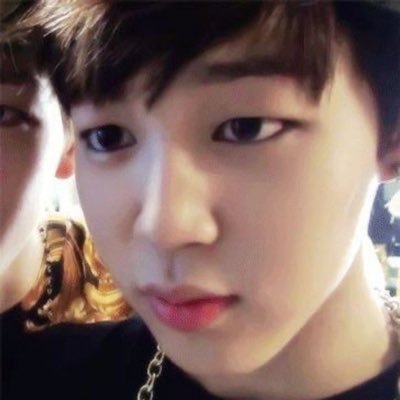 leemeowknow_'s profile picture. ↳ #jimin #leeknow