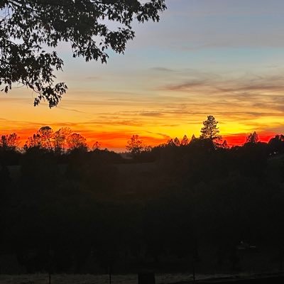 SB450450450's profile picture. “The further a society drifts from the truth, the more it will hate those that speak it.” ————George Orwell