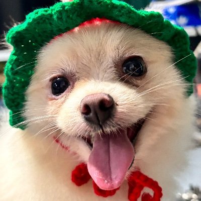 ayalovespsych's profile picture. 22 | 🏳️‍🌈 | certified mental health advocate | working reviewee #rpmtwt 🧠📚