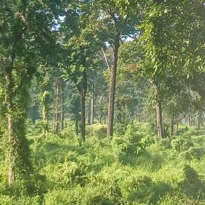 deepadev_'s profile picture. 