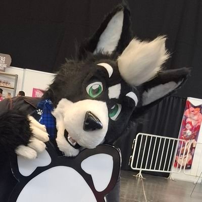 wolffkey's profile picture. Hello My Name Is #Wolffkey | a Little Crazy But Very Happy | Telegram @Wolffkey | #Fursuiter #Wolf | Español / English | friendly| #StraightEdge Wolf