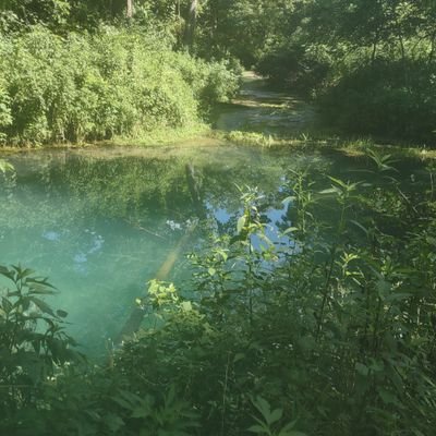 88kane's profile picture. 