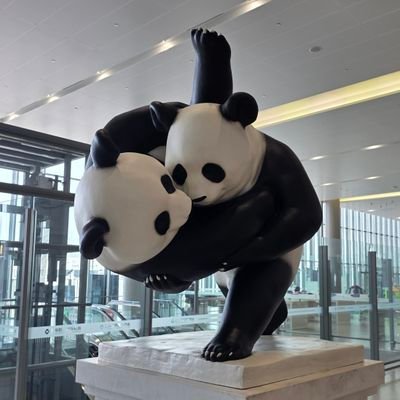 DaeDuTwit's profile picture. #Apink #KTRolster 팬 계정, @BBOMRANGDAN 소속.