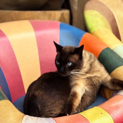 MsIkilezi's profile picture. 