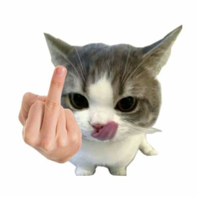 anaaryderss's profile picture. allowww, pliss polbek yaa ak mau pujya temen jbjb mansying gila🥺