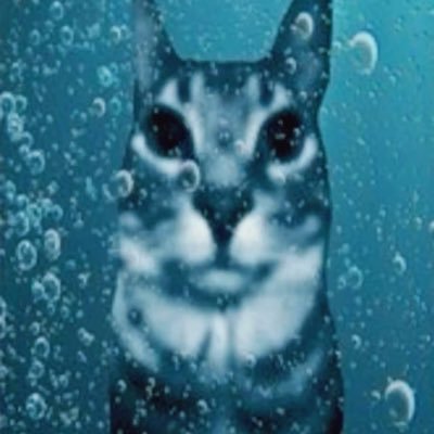 shandworldender's profile picture. FUCK YOUUUUUUUUU