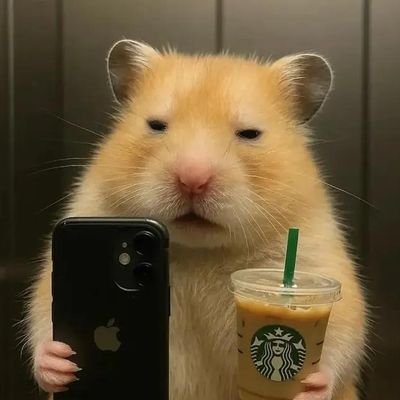 hakira1234566's profile picture. 