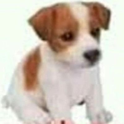 marcorinthians_'s profile picture. entusiasta da estética e da narrativa artística de davi brito