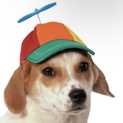 diegozanahoria1's profile picture. 