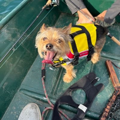 JonMehr10's profile picture. Commercial Real Estate | America First 🇺🇸 |