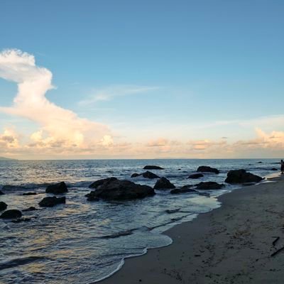 Mmy1my's profile picture. 