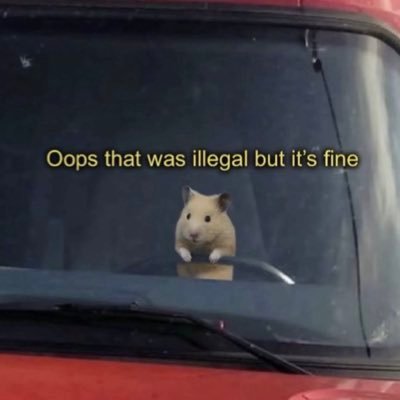 nobody_root's profile picture. 