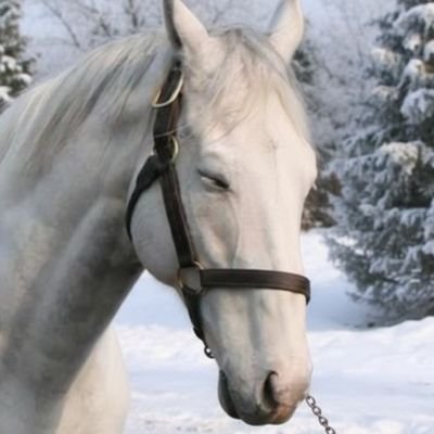 haozhi0310's profile picture. 