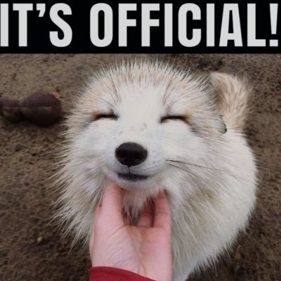 sinmister608's profile picture. 