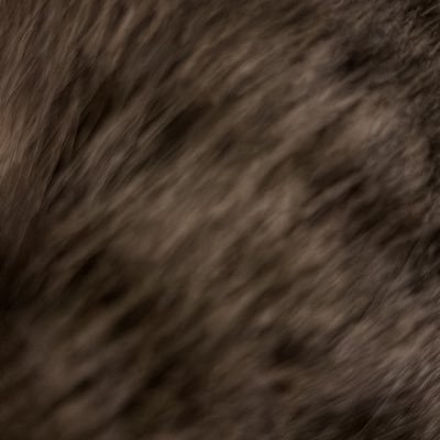 CInplano's profile picture. 