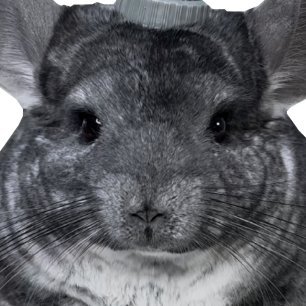 dimorphicbeing's profile picture. 18 him