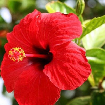 AnymHssn's profile picture. Depresi mikirin masa depan, taunya sukses. Aaamin!