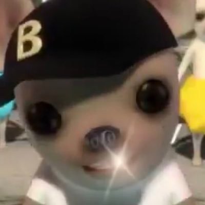 yogingging's profile picture. 이사한 계정 정지당해서 돌아왔습니다 샤갈!! 여자만