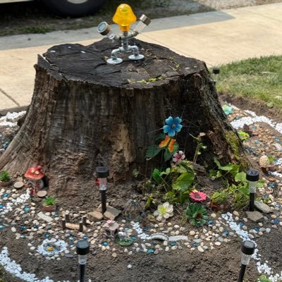 tpchoc's profile picture. Here to listen and talk.