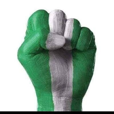 OlaPedigree894's profile picture. 