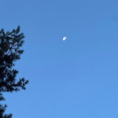 donotjeongji's profile picture. ㅠㅠㅠㅠ 비빔이 살려…