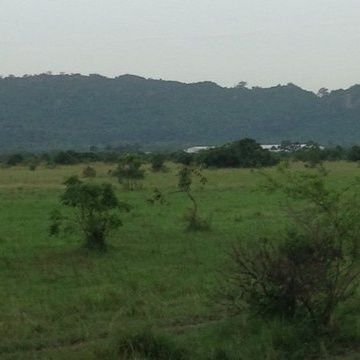 ElectroneumG's profile picture. a woman with passion to change the narrative of Agro. processing in Africa, and beyond and  $WKC will enable that..  #SMCDAO 🚀🚀🚀