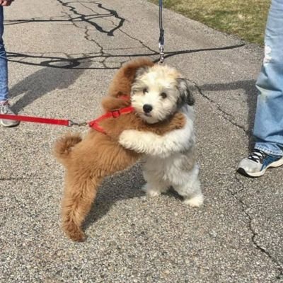 jixshinn's profile picture. 🚸🔞 
Army DNI 🙏‼️