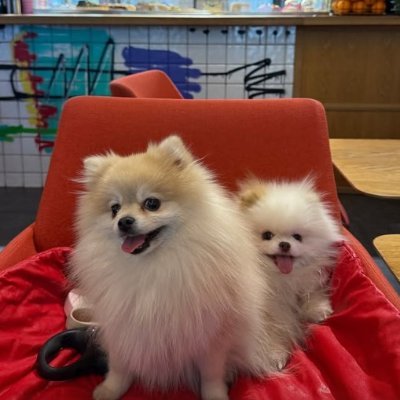 B89795885's profile picture. The most successful people in the world are often those who have experienced the most failures. When you succeed, all the clowns around you disappear.