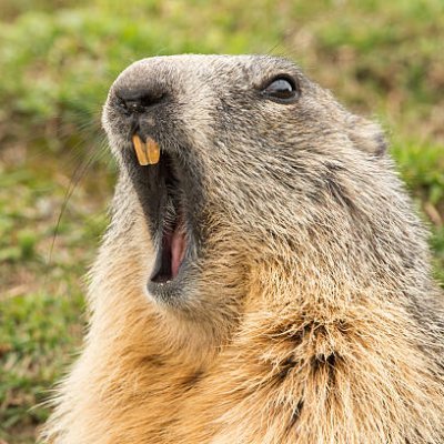 kaya_major9's profile picture. 