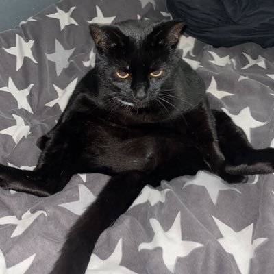 dixkoo's profile picture. retired