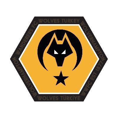 WolvesTurkey's profile picture. Wolverhampton Wanderers’ın Resmî Türk Taraftar Sayfası. 🇹🇷 | Official Worldwide Wolves fan page | #IstanbulWolves 🐺