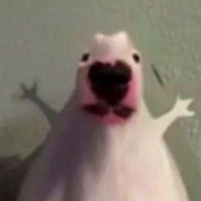 meungit3's profile picture. 일론머스크팔도햇는데왜정지야